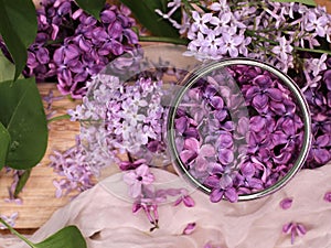 Lilac flowers in a glass dish