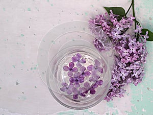 Lilac flowers in a glass vessel with water