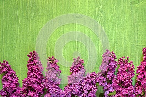 Lilac flowers on green wooden background, copy space