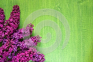 Lilac flowers on green wooden background, copy space, diagonal