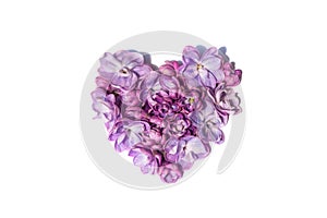 Lilac flowers heart isolated. White background