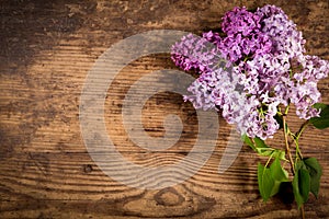 Lilac flowers on old wood table