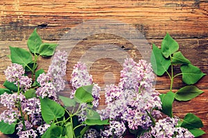 lilac flowers on a old wooden background