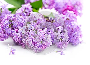 Lilac flowers over white wooden background