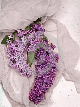 Lilac flowers stacked on a soft cloth