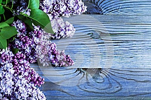 Lilac flowers on vintage colored wood boads