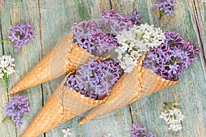 Lilac flowers in waffle cones