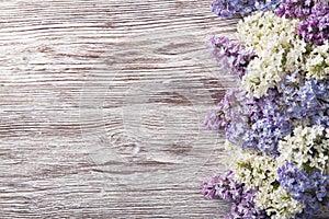 Lilac flowers on wood background, blossom branch on vintage wood