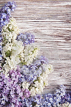 Lilac flowers on wood background, blossom branch on vintage wood