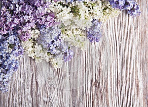 Lilac flowers on wood background, blossom branch on wood