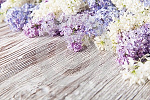 Lilac flowers on wood background, blossom branch on vintage wood