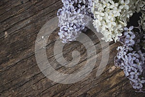 Lilac flowers on wood background, blossom branch on vintage wooden texture