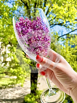 lilac in a glass on a tree background