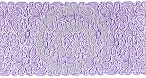 Lilac lace