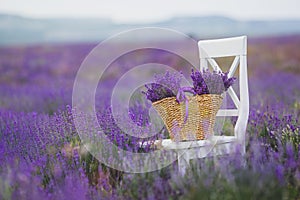 Lilac Lavender flowers in a wicker basket.