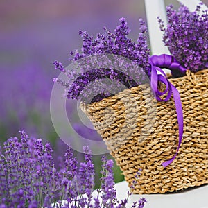 Lilac Lavender flowers in a wicker basket.