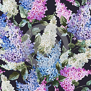 Lilac pattern