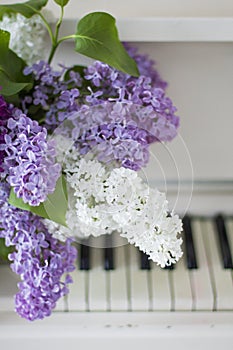 Lilac on piano close-up. White piano. Lilac bouquet several colors over Syringa vulgaris. Lilac flowers