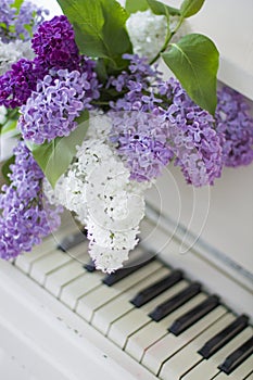 Lilac on piano close-up. White piano. Lilac bouquet several colors over Syringa vulgaris. Lilac flowers