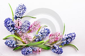 Lilac and pink hyacinths.