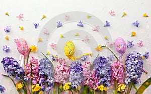 Lilac and pink hyacinths on white background