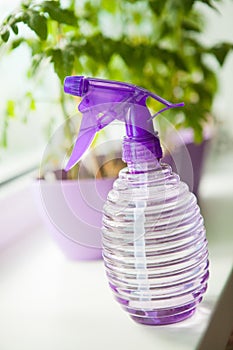 Lilac pulverizer photo