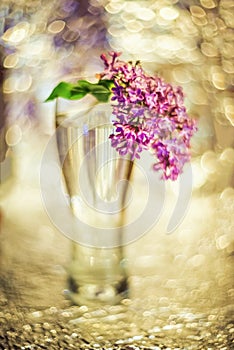 Lilac with selective focus on a blurred background with bokeh. floral background