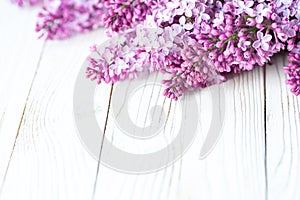 Lilac spring flowers bunch on white wood background, closeup. Spring blossom. Soft focus