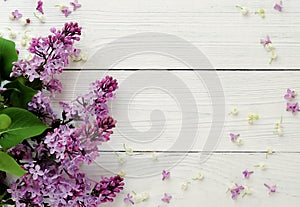 Lilac spring flowers on a white wooden background