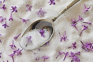 Lilac Sugar In Spoon And Plate On WoodenTable