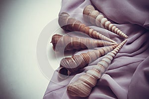 Lilac textile with shells closeup