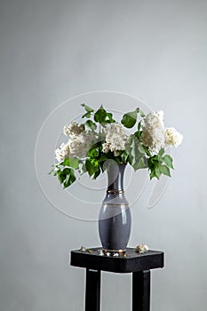 Lilac in vase on the gray background