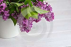 Lilac in a vase on a white background close-up