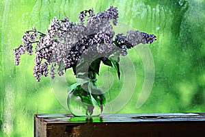 Lilac in a vase on the window