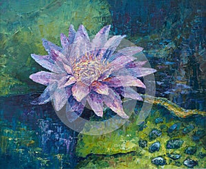 Lilac water-lily