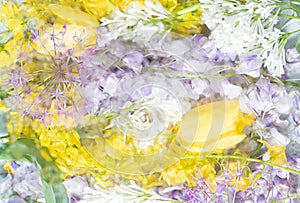 Lilac and yellow white spring flowers blurred behind wet glass. Abstract soft, light floral background.