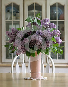 Lilacs photo