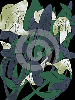 Lilies, abstract drawing pattern, background, collor illustration