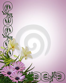 Lilies and Daisies Floral Background