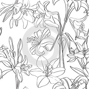 Lilies pattern superposed photo