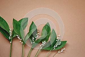 Lilies of the valley on beige backgrond. Spring time