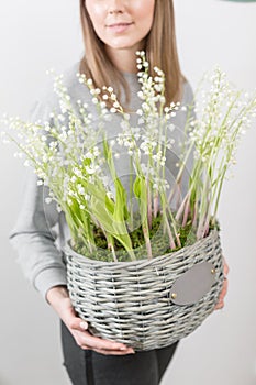 Lilies of the valley in a gray wicker basket. Fresh spring flowers as a gift. Cute girl holding a floral arrangement