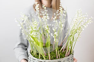 Lilies of the valley in a gray wicker basket. Fresh spring flowers as a gift. Cute girl holding a floral arrangement