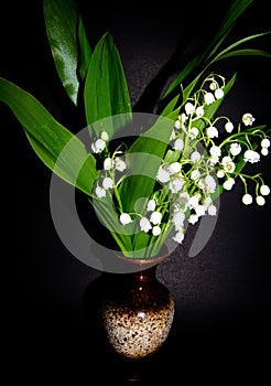 Lilies of the valley in a vase on a dark background. Photo of flowers on a dark background.
