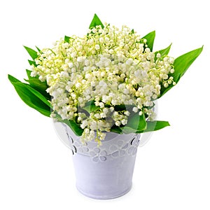 Lilies of the valley on white background