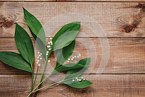 Lilies of the valley on wooden backgrond