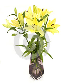 Lilies and Vase isolated