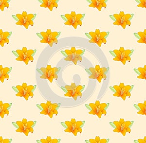 Lilium candidum, the Madonna lily or Orange Lily on Beige Ivory Background. Vector Illustration