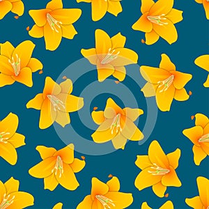 Lilium candidum, the Madonna lily or Orange Lily on Indigo Blue Background. Vector Illustration