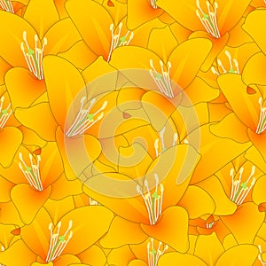 Lilium candidum, the Madonna lily or Orange Lily Seamless Background. Vector Illustration